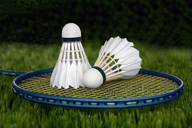 Birdie Brilliance: Dive into the Best Ultimate – Badminton Review