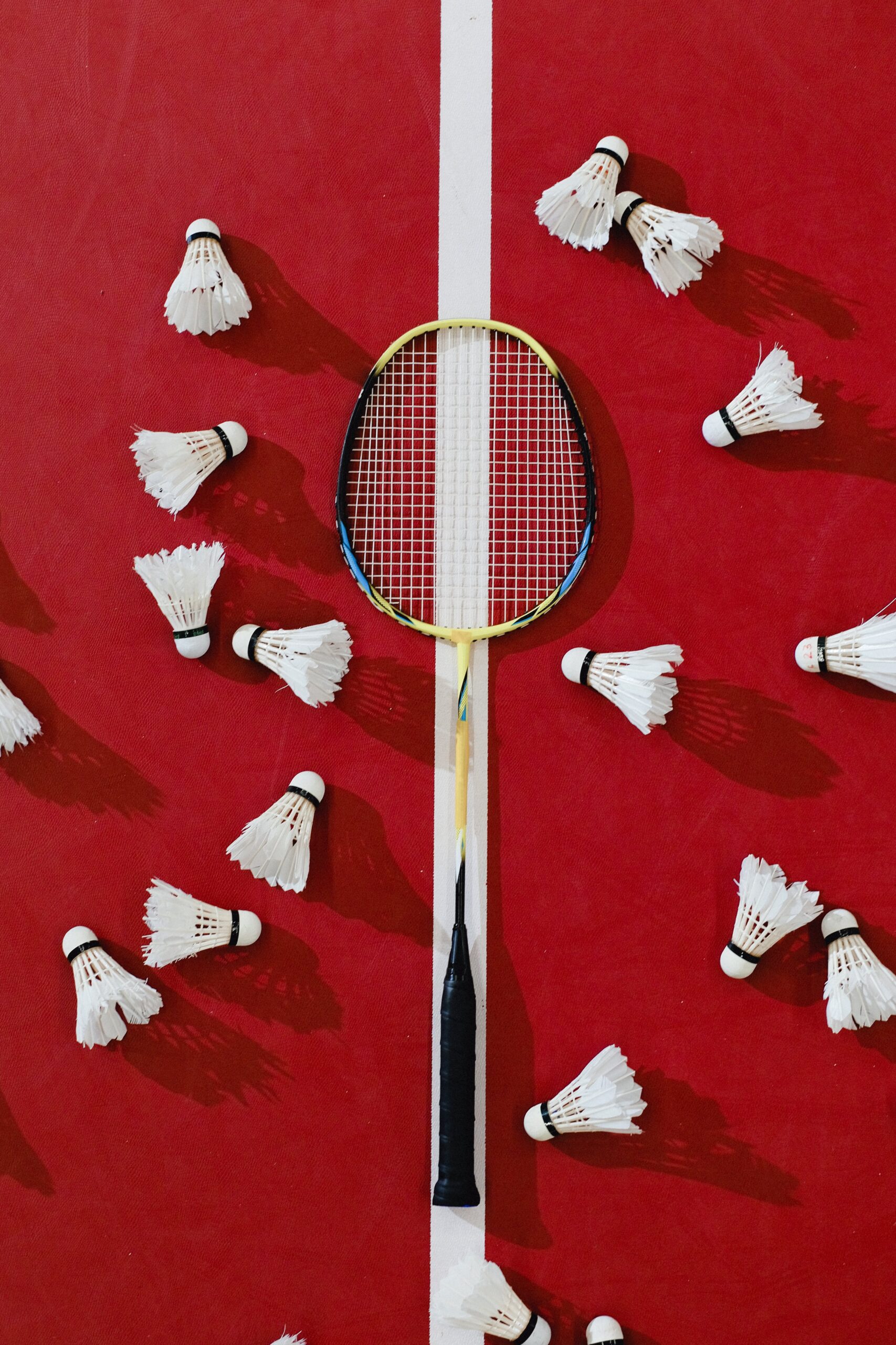 Net Mastery: Unveiling the Best in Badminton – Review